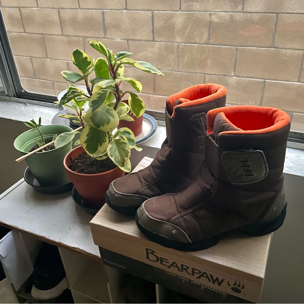 bear paw hiking boots
